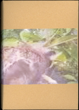rh032mc1